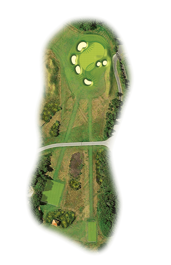 Hole 12 - Hole 12 Map